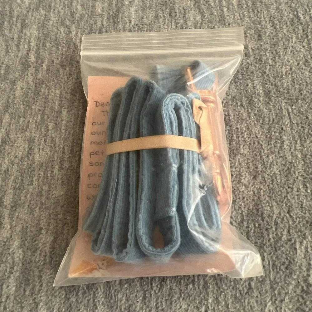 Lionheart Glory Dog‎ Leash Blue Cotton Durable Lightweight Unisex Training New